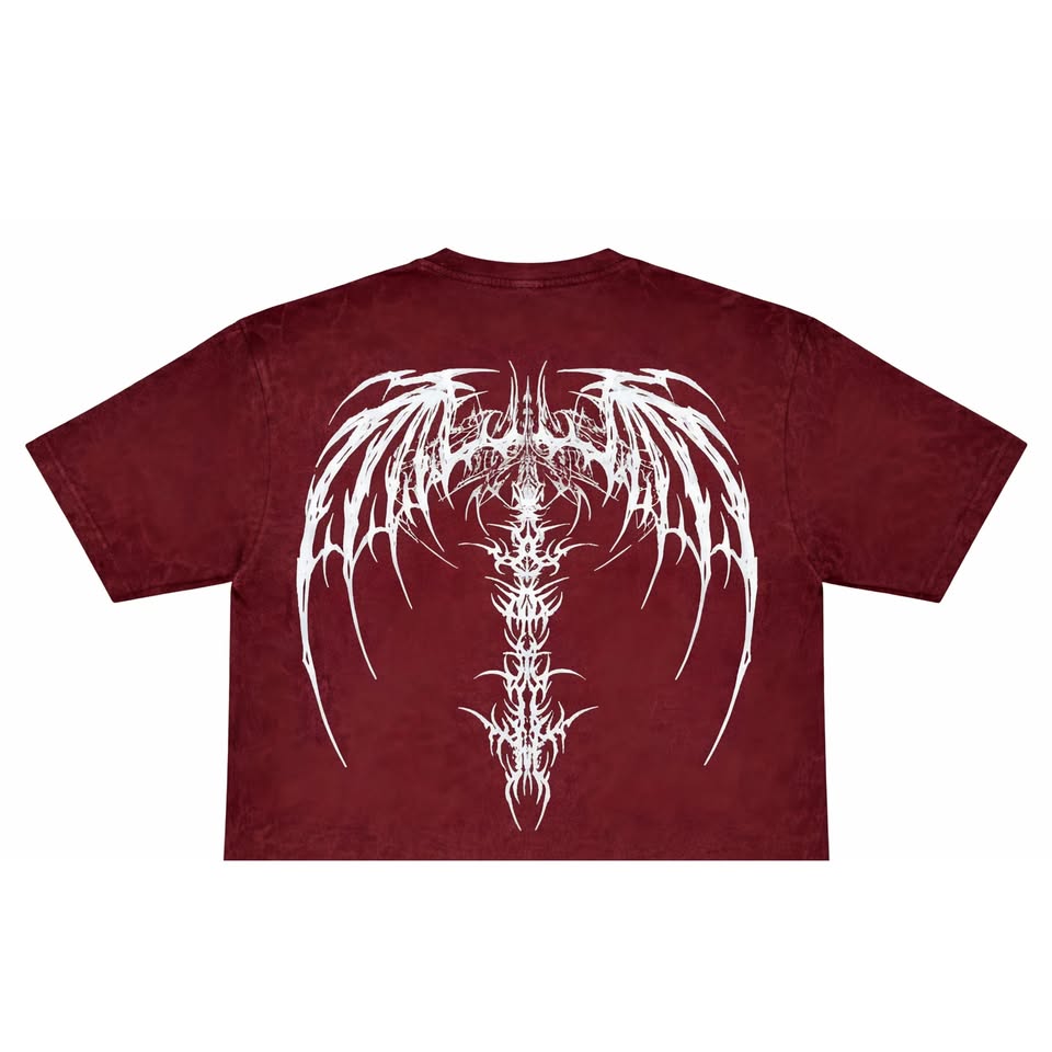 REBEL SOUL TEE CROP TOP